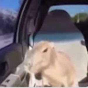 Meet your Posher, Jaden